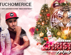 Christmas Animals Festival