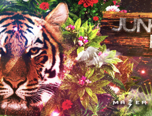 Jungle edittion bílý kámen